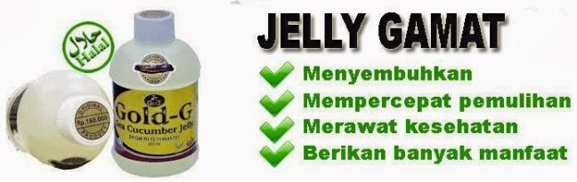 jelly-gamat13 - Copy